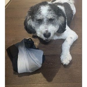 Helmut Lang Charcoal Grey White Black Silk Sleeveless Knee length Dress Sz 0